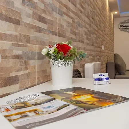 Apartament Rustique Centre Ville I *